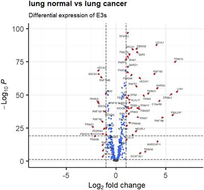 The roles of protein ubiquitination in tumorigenesis and targeted drug discovery in lung cancer